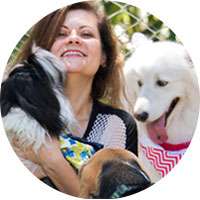 Como fazer a transição alimentar